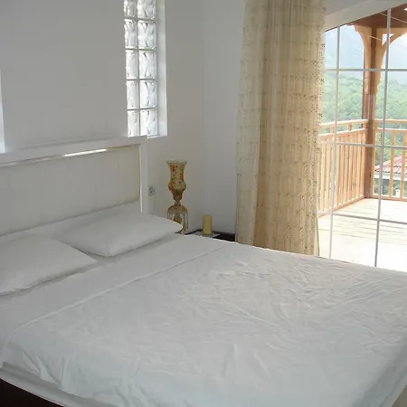 Green World Villa